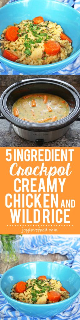 Crock Pot Creamy Chicken and Wild Rice - five ingredients and five minutes of prep is all you need. The slow cooker does the rest, to make this delicious, creamy, chicken dish that is sure to become a family favorite.