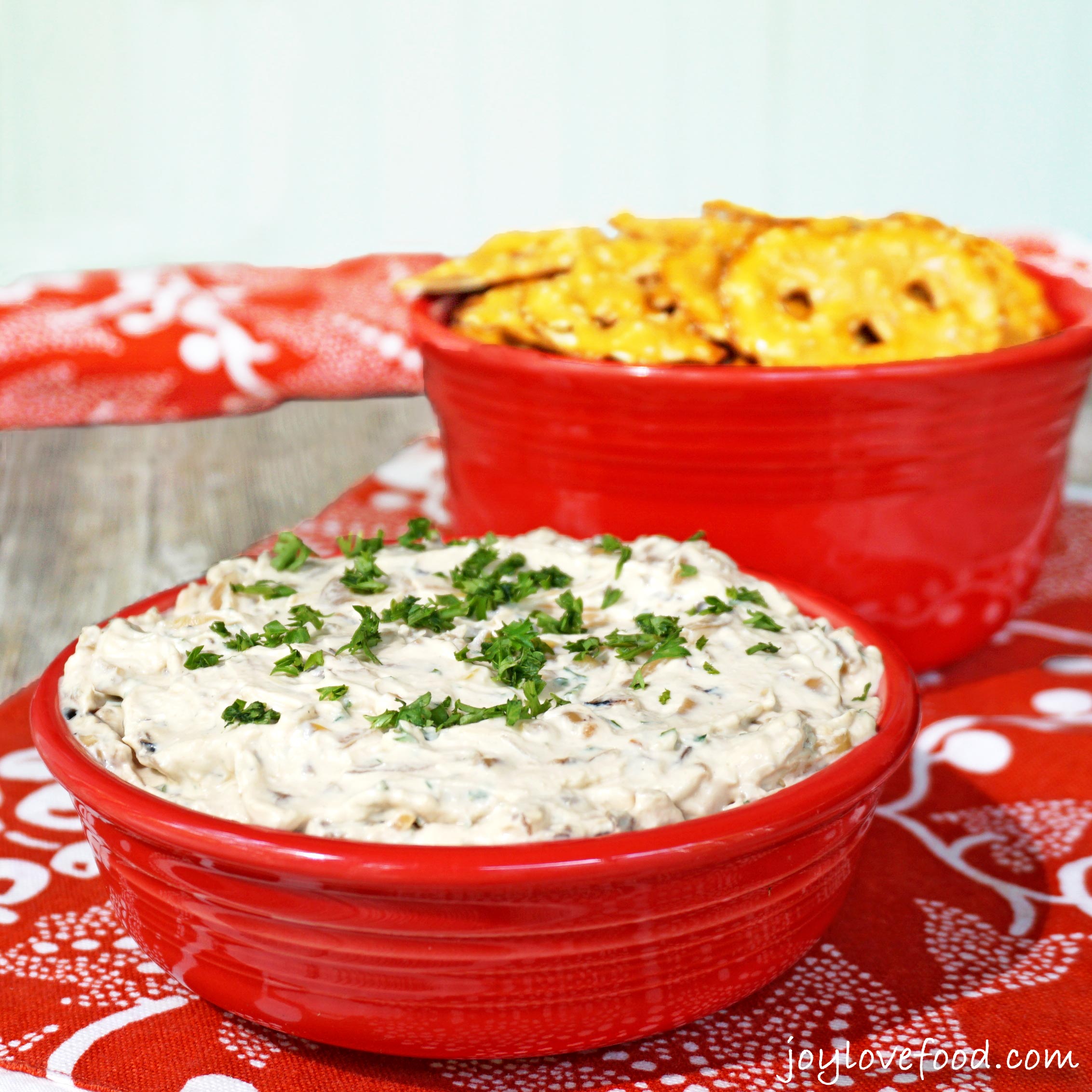 caramelized-onion-dip-joy-love-food