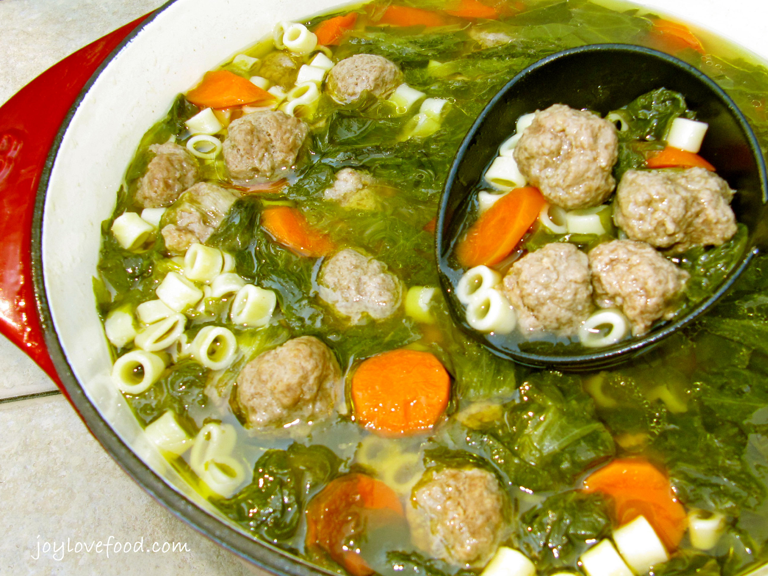 Meatball Soup - Kids and grown-ups alike will both love this yummy hearty soup chock full of little meatballs, bite sized pasta, carrots and escarole.