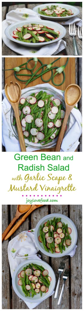 Fresh, vibrant and full of flavor, this Green Bean and Radish Salad with Garlic Scape & Mustard Vinaigrette is a delicious side dish for a summer barbeque. It is also great for a healthy lunch or snack.