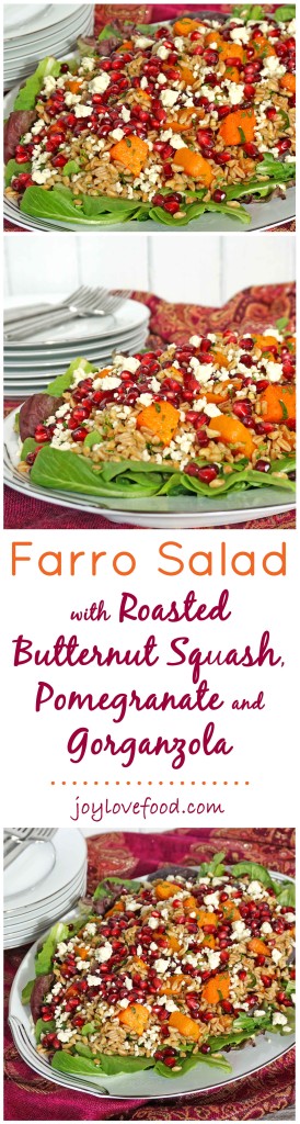 Farro Salad with Roasted Butternut Squash, Pomegranate and Gorgonzola - this colorful salad is full of flavor and so easy to prepare, perfect for a dinner party or a healthy lunch.